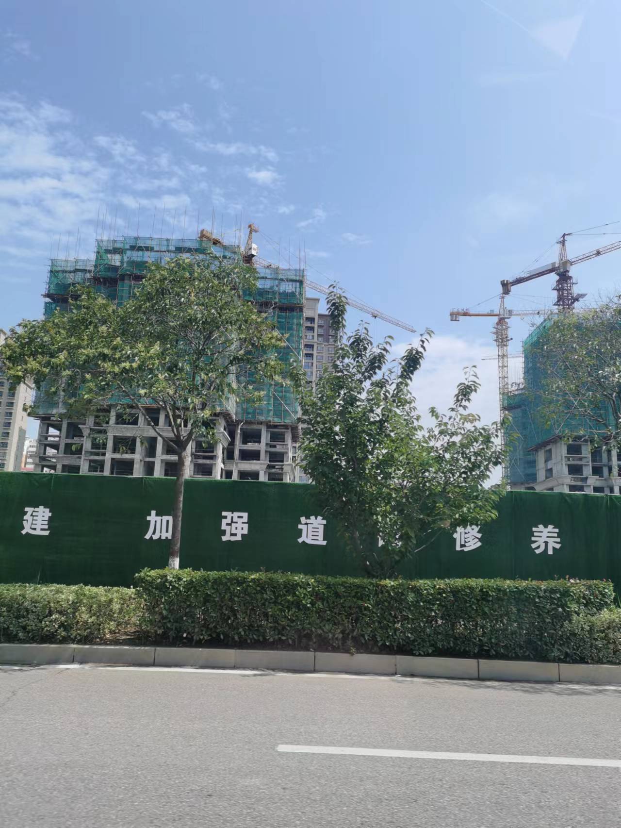 【工程项目信息】南阳新野县准建、在建、已建工程项目信息汇总2022年5月份